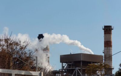 Énergie fatale : comment la traiter sans perdre son potentiel ?